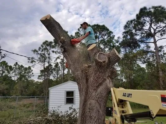 A-W Handyman & Landscape Service