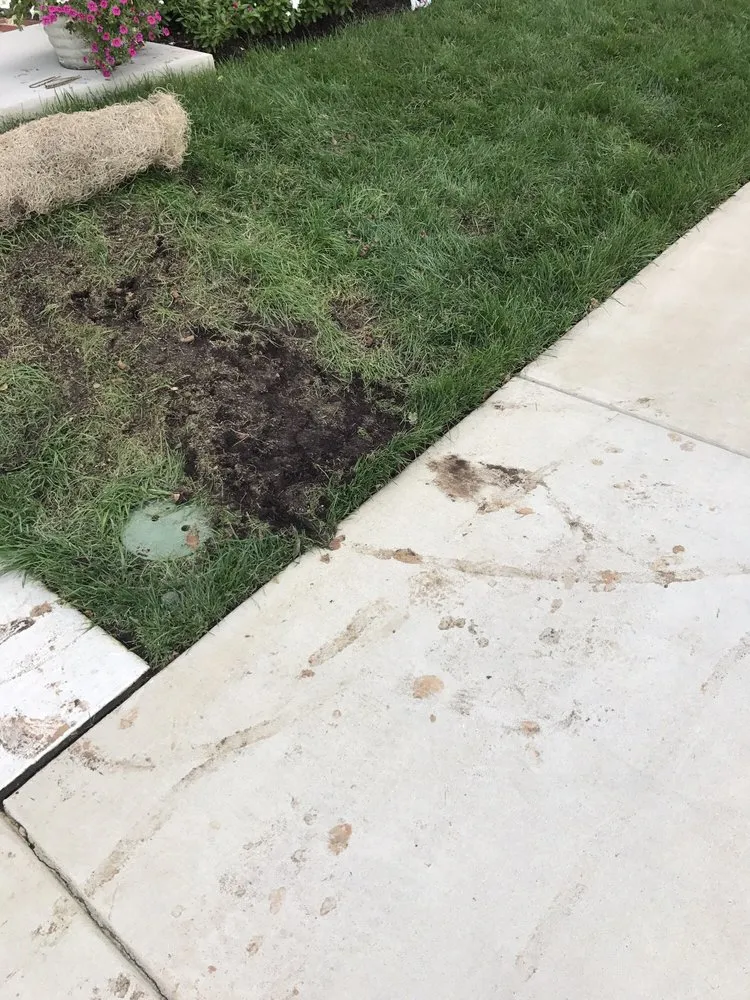 Custom yard maintenance for outdoor upgrades across Rockville, MD - A W Landscapes