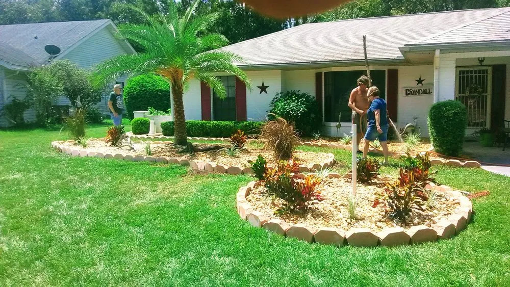 Professional yard maintenance in Homosassa, FL by A Whole Hauling & Tree Service