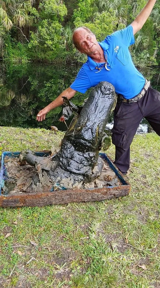 Top-rated lawn care service with custom design across Homosassa, FL - A Whole Hauling & Tree Service