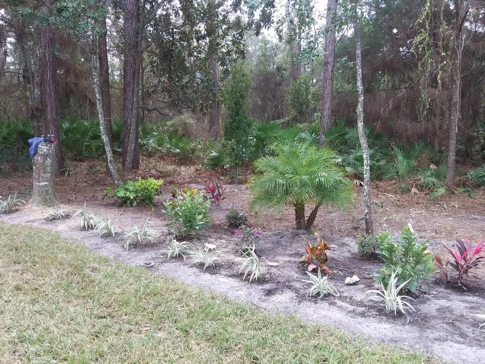 Local landscape installation for beautiful yards across Homosassa, FL - A Whole Hauling & Tree Service