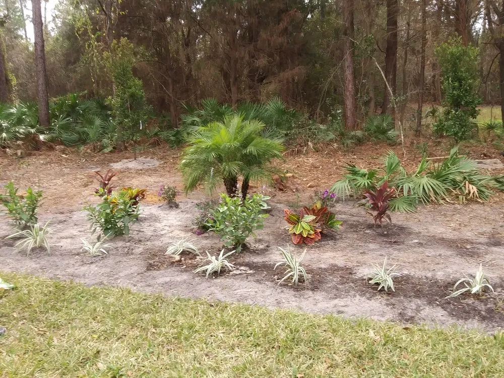 Trusted garden landscaping experts serving Homosassa, FL - A Whole Hauling & Tree Service