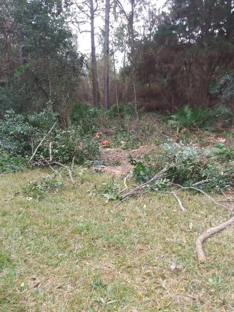 Custom landscape design in Homosassa, FL - A Whole Hauling & Tree Service