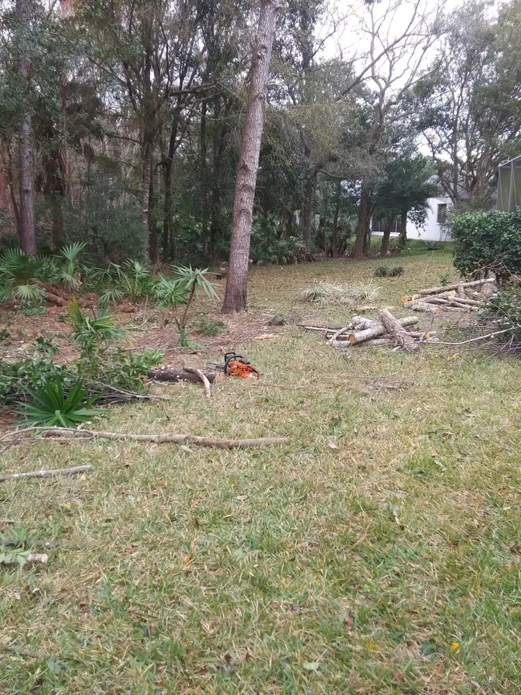 Expert landscape installation in Homosassa, FL - A Whole Hauling & Tree Service