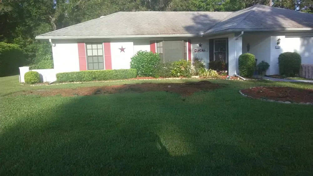 Professional yard cleanup service in Homosassa, FL by A Whole Hauling & Tree Service