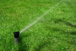 Reliable garden landscaping experts serving Lake Dallas, TX - A Wolter Service - Wolter Services