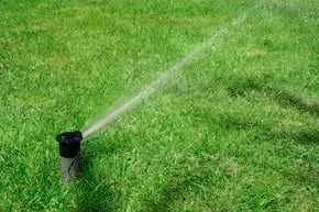 Reliable outdoor landscaping for beautiful yards in Lake Dallas, TX by A Wolter Service - Wolter Services