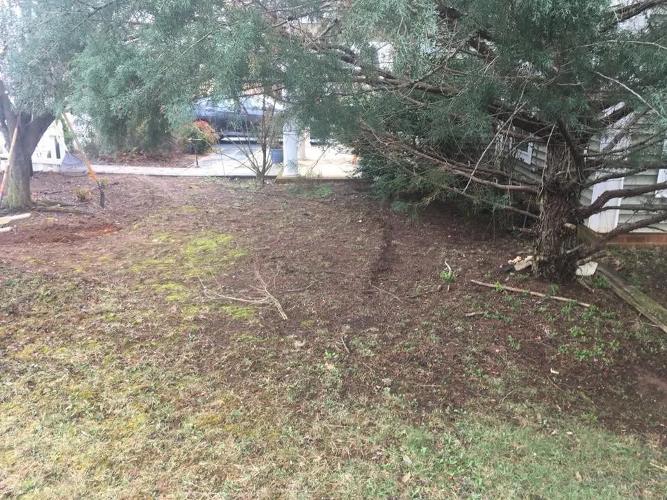 Top-rated outdoor landscaping for year-round maintenance in Crozet, VA by A WoMan Can