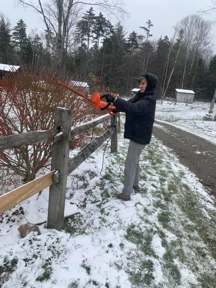 Trusted lawn care service near you in Colchester, VT by A Woman's Touch