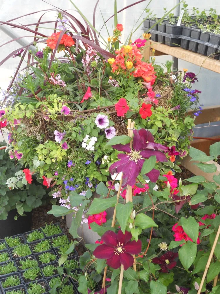 Affordable yard maintenance for year-round maintenance across Santa Fe, NM - A Woman's Touch Inc