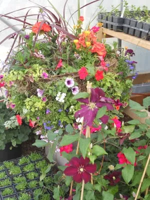 A Woman's Touch Inc Logo