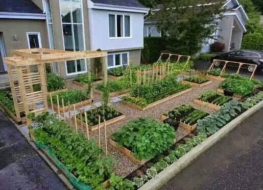 Affordable landscaping services experts serving San Antonio, TX - A Woman's Touch Lawn Care