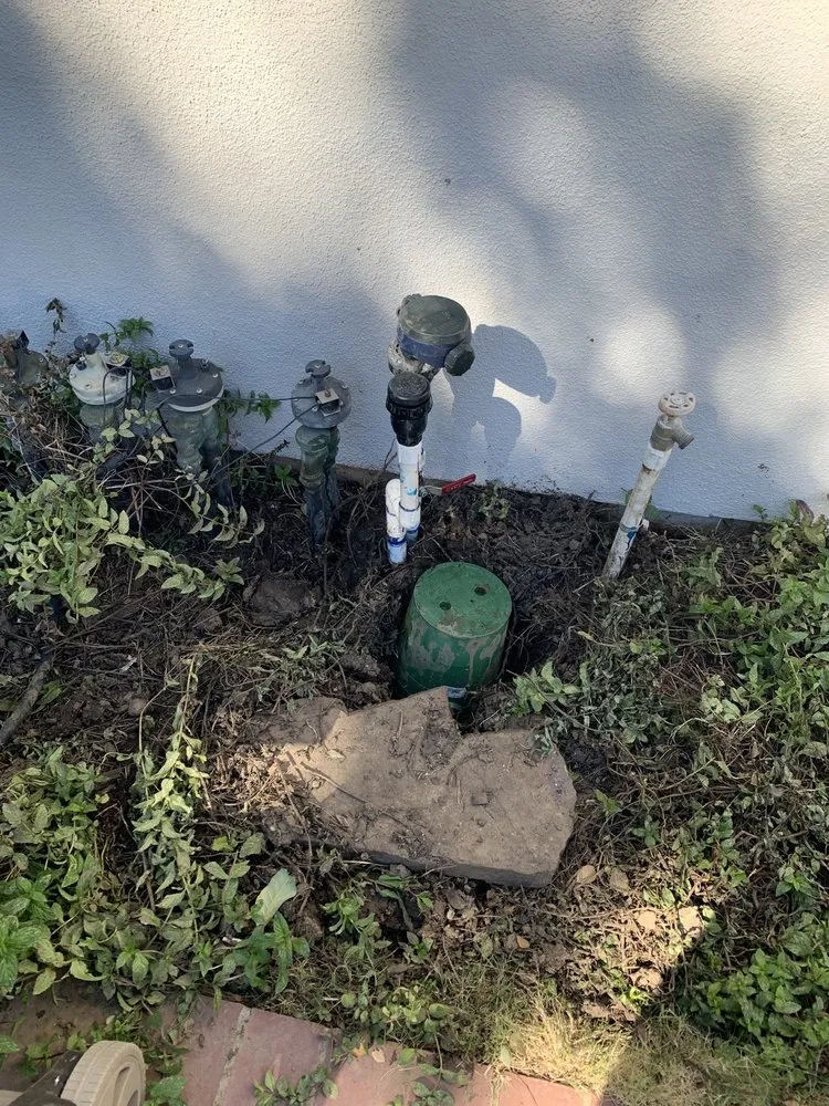 Affordable yard maintenance with custom design across Ventura, CA - A Woman's Touch