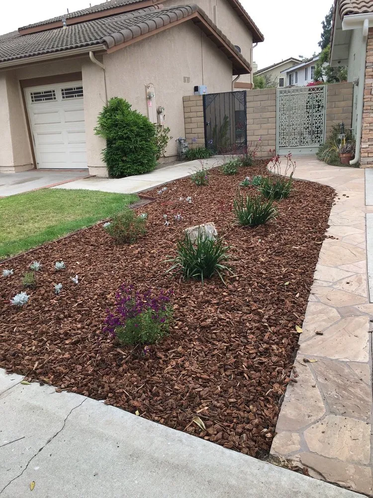 Local yard maintenance experts serving Ventura, CA - A Woman's Touch