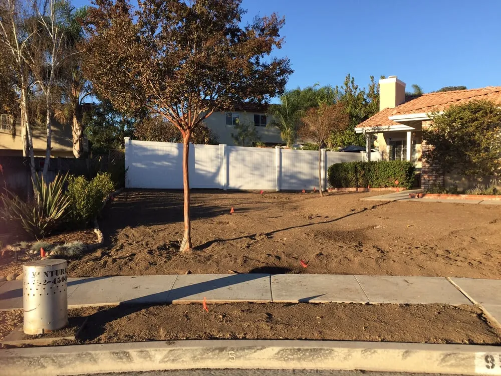 Reliable yard cleanup service experts serving Ventura, CA - A Woman's Touch