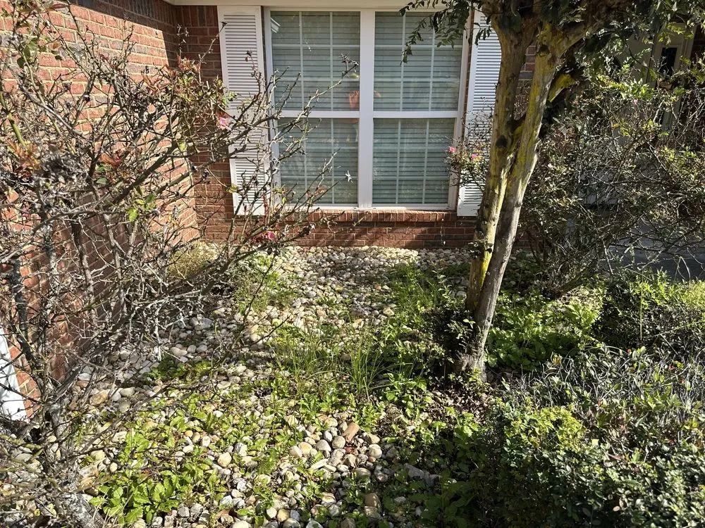 Trusted lawn mowing service for residential properties in Valdosta, GA by A Xcut Above Lawn Care Services