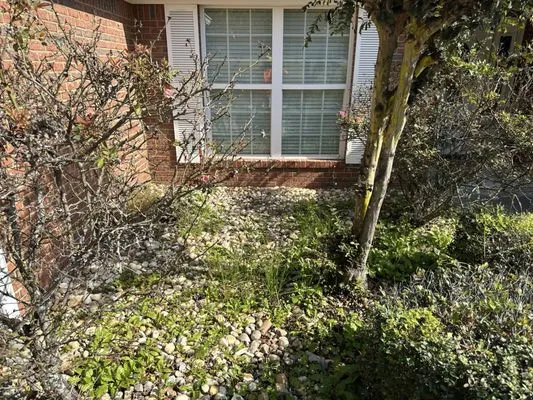 A Xcut Above Lawn Care Services Logo