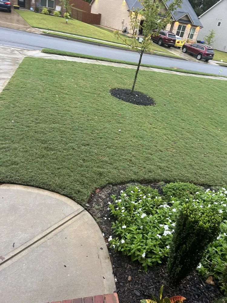 Local yard cleanup service for residential properties in Conyers, GA by A Y Hauling & Landscaping Services