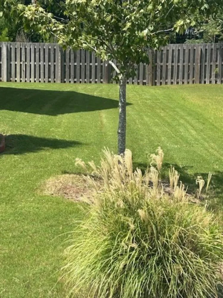 Top-rated outdoor landscaping for residential properties across Conyers, GA - A Y Hauling & Landscaping Services