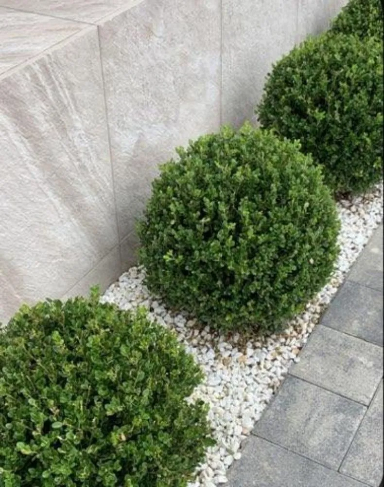 Professional garden landscaping for residential properties in Conyers, GA by A Y Hauling & Landscaping Services