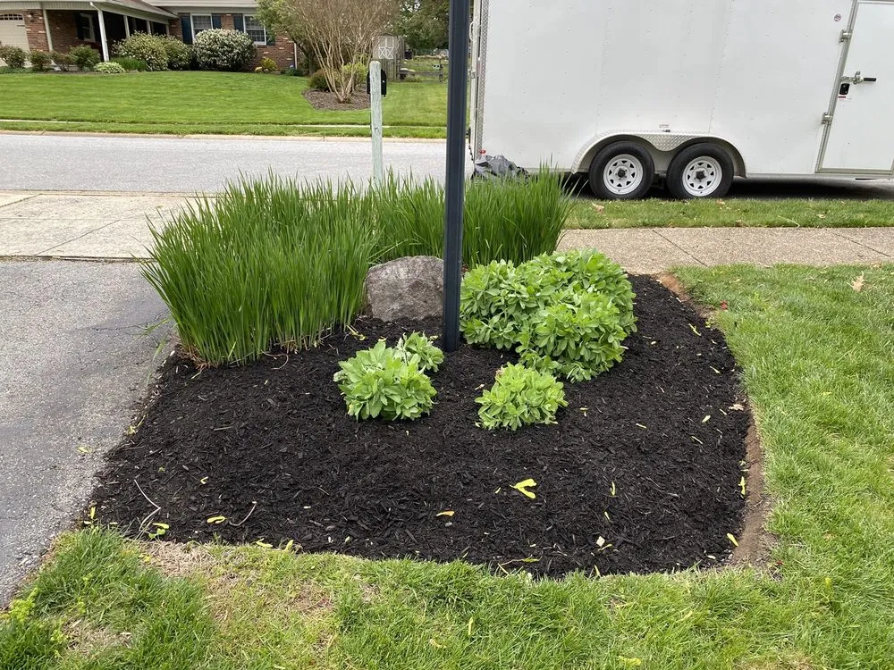 Professional landscape installation in Claymont, DE by A &Y Lawn care