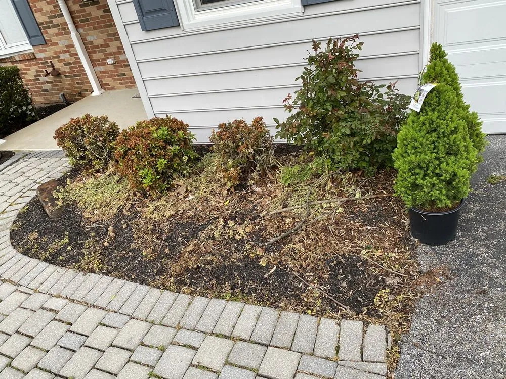 Affordable residential landscaping experts serving Claymont, DE - A &Y Lawn care
