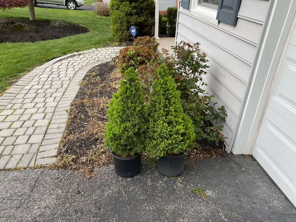 Expert landscape installation for homes in Claymont, DE by A &Y Lawn care