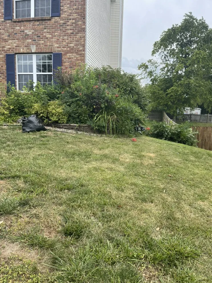 Affordable yard maintenance in Madison, IL - A-Z Design