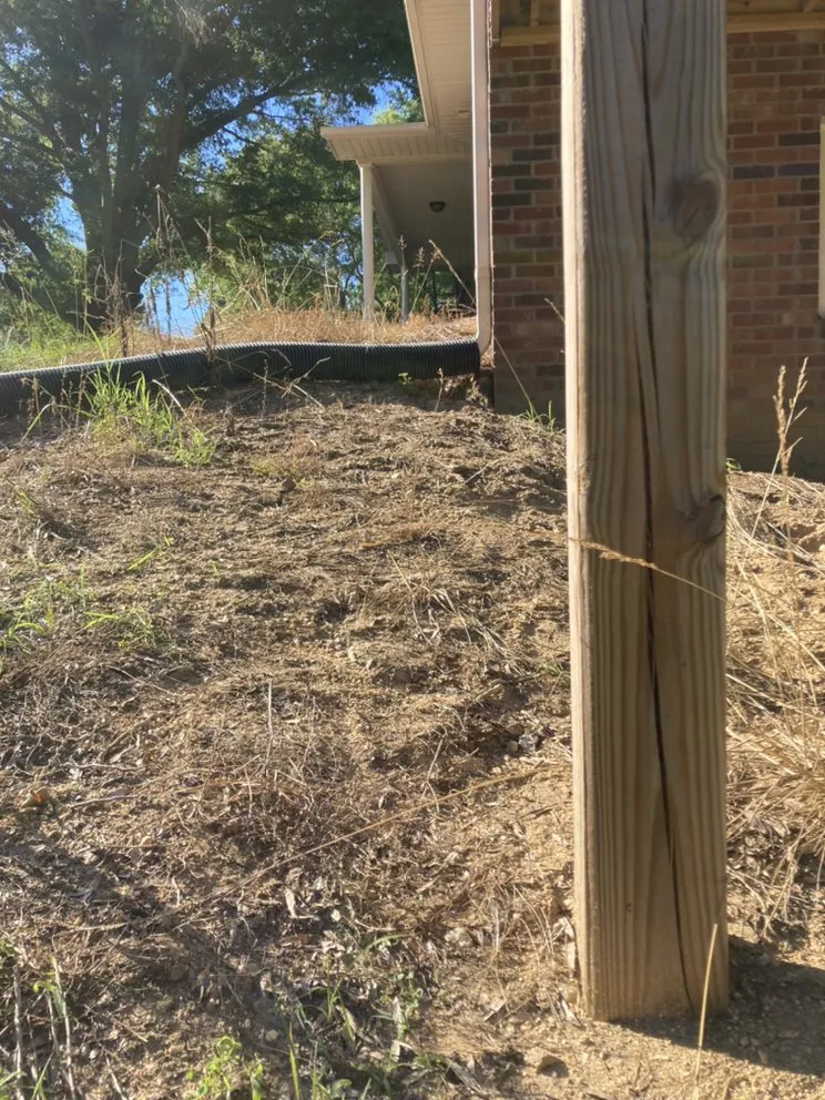 Local lawn care service experts serving Madison, NC - A-Z Designs & Install