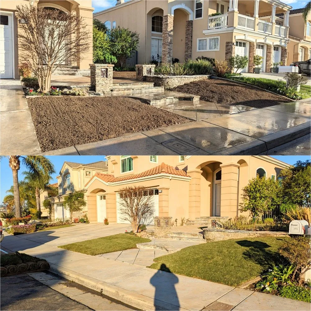 Custom garden landscaping for outdoor upgrades in Redondo Beach, CA by A-Z Landscapes and Designs