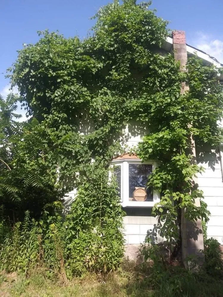 Affordable landscape design in Latrobe, PA - A-Z Landscaping & Handyman Services