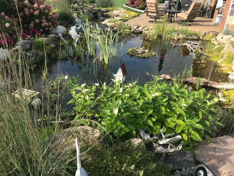 Local outdoor landscaping experts serving Ridgefield, CT - A-Z Landscaping