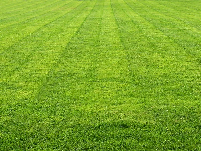 Reliable lawn care service for residential properties in Ridgefield, CT by A-Z Landscaping