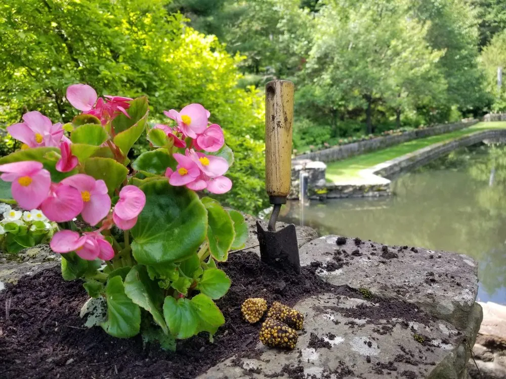 Top-rated garden landscaping with custom design across Ridgefield, CT - A-Z Landscaping