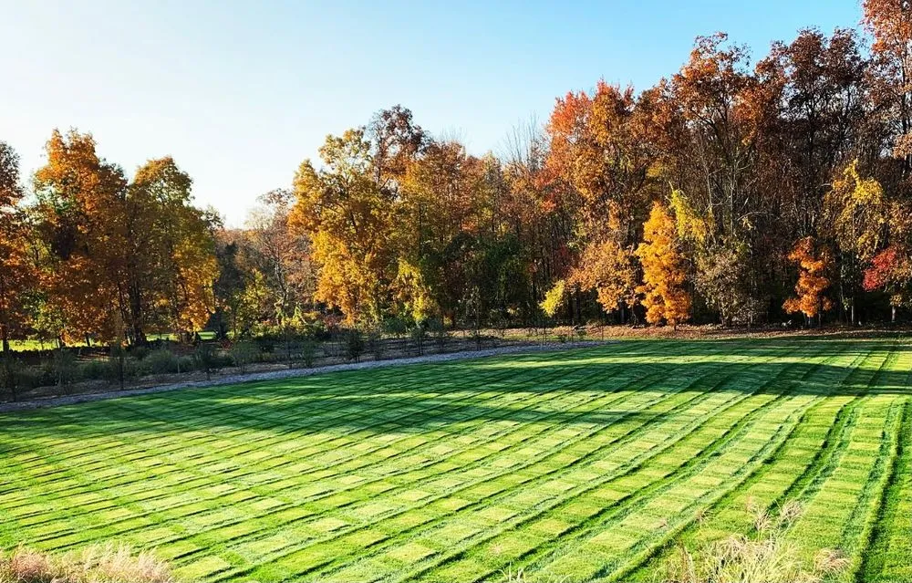 Top-rated yard cleanup service with custom design across Ridgefield, CT - A-Z Landscaping