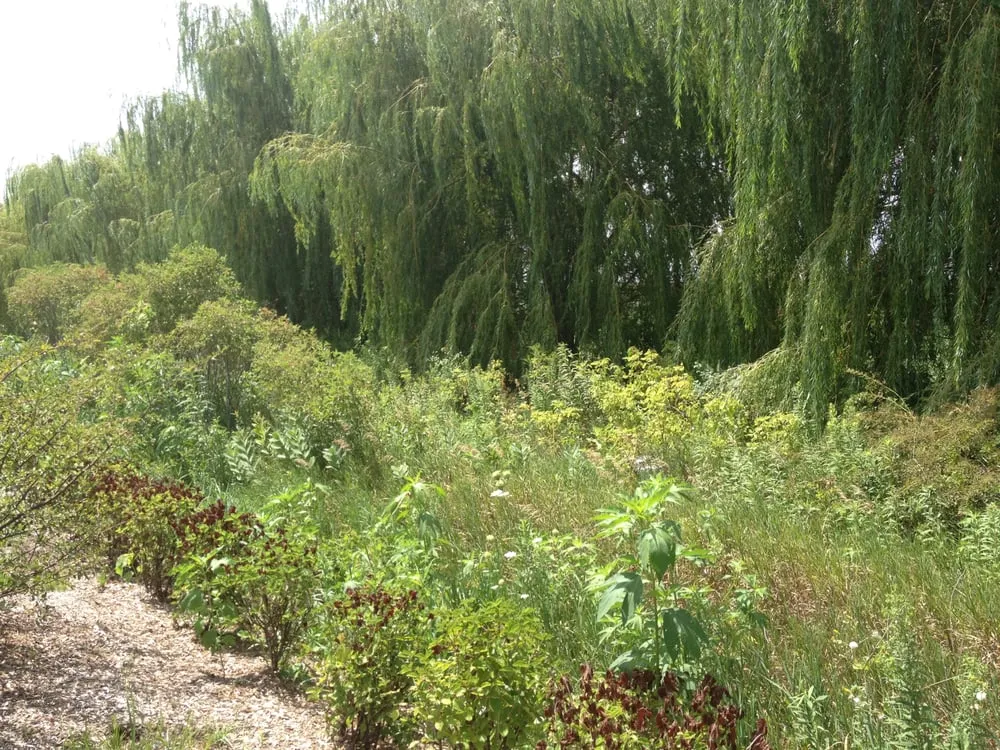 Affordable lawn mowing service for year-round maintenance in Sleepy Hollow, IL by A-Z Lawn & Snow Plowing