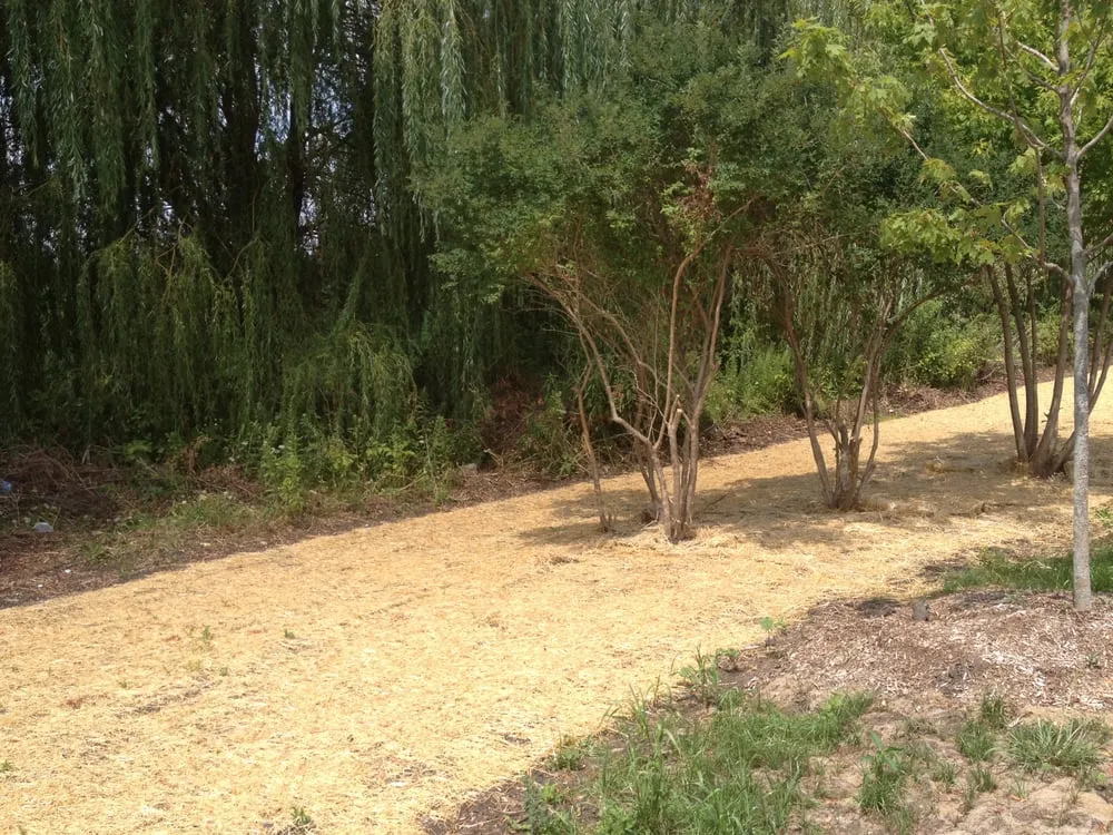 Top-rated garden landscaping in Sleepy Hollow, IL by A-Z Lawn & Snow Plowing