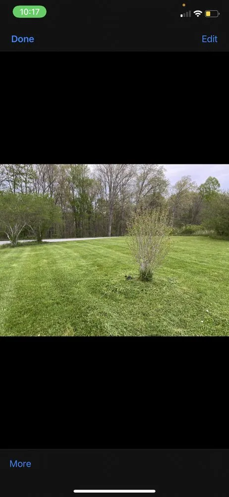Trusted yard cleanup service for year-round maintenance in Lily, KY by A-Z Lawn And Landscape