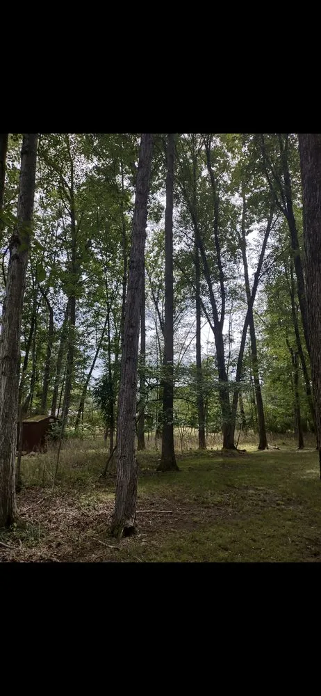 Custom yard cleanup service experts serving Painted Post, NY - A-Z Lawn Care And Small Engine Repair