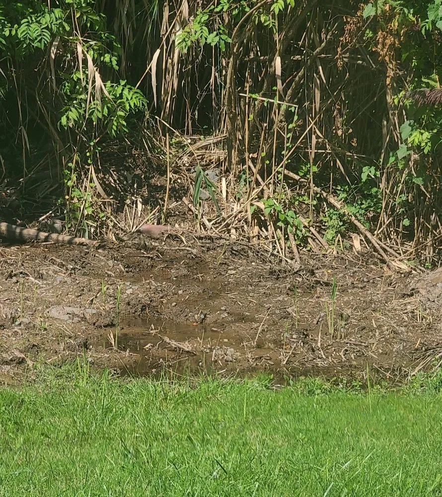 Trusted landscaping services for homes in Neeington, CT by A-Z Services