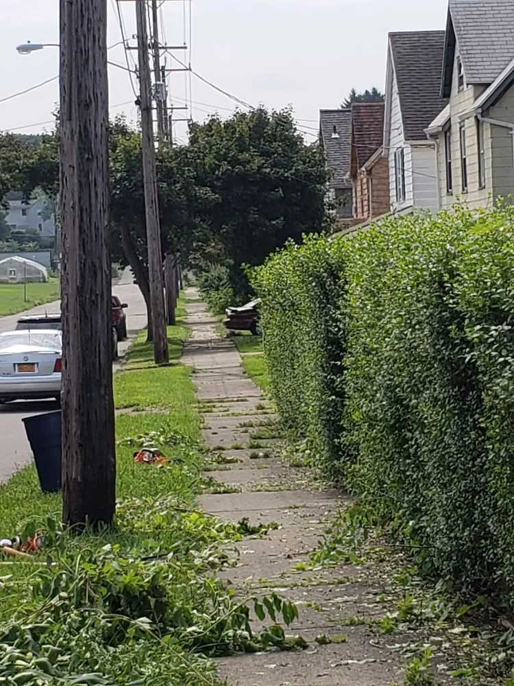 Top-rated yard maintenance in Elmira, NY by A-Z The Right Way