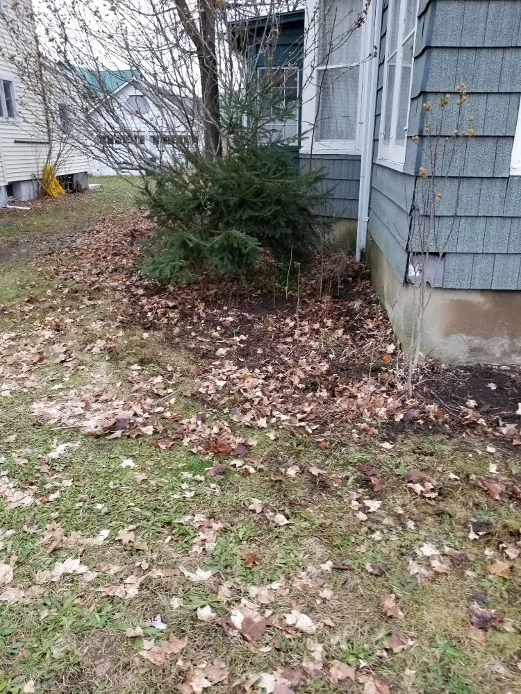 Local lawn care service in Elmira, NY - A-Z The Right Way