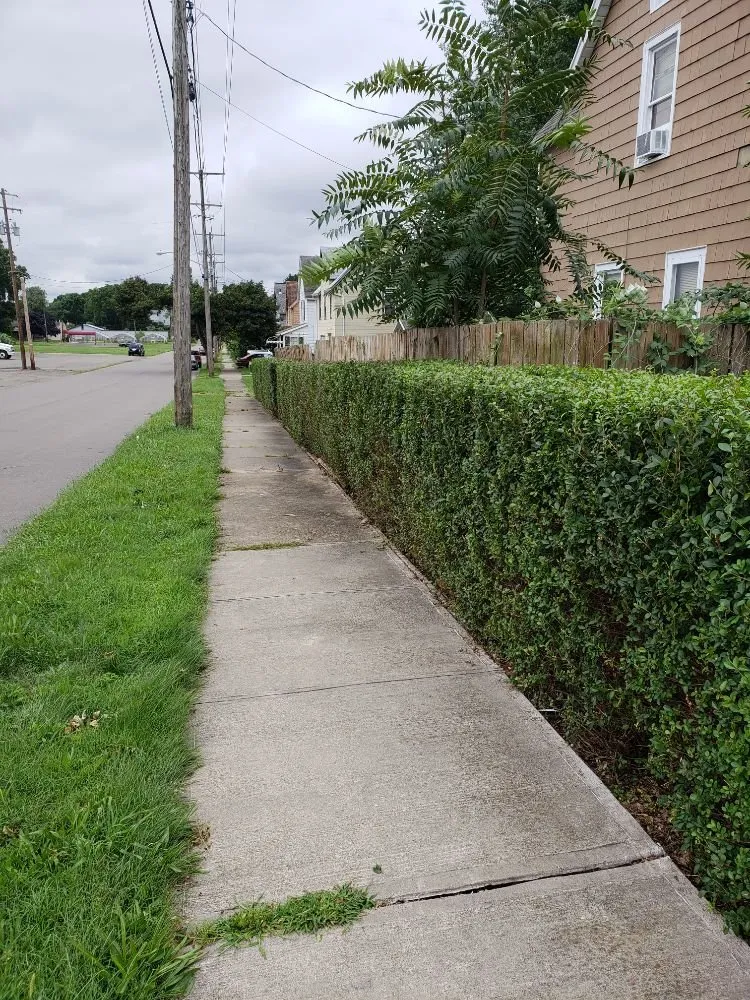 Expert landscape installation experts serving Elmira, NY - A-Z The Right Way