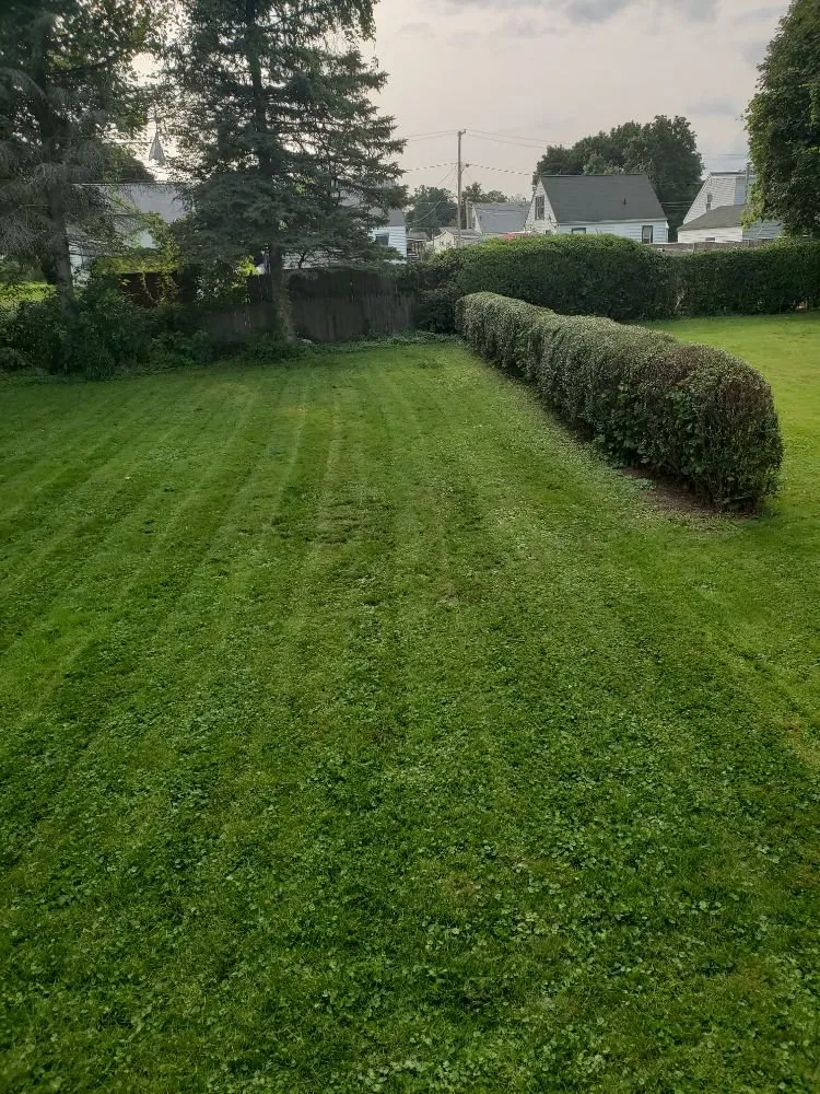 Top-rated residential landscaping for homes in Elmira, NY by A-Z The Right Way