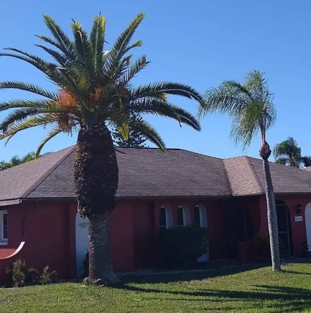 Top-rated landscape design in North Fort Myers, FL - A-Z Tree and Landscaping