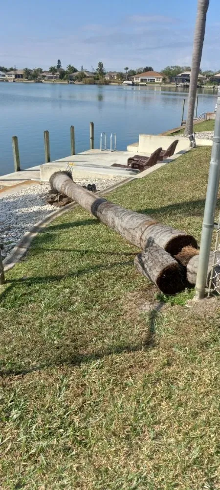 Top-rated landscaping services for year-round maintenance in North Fort Myers, FL by A-Z Tree and Landscaping