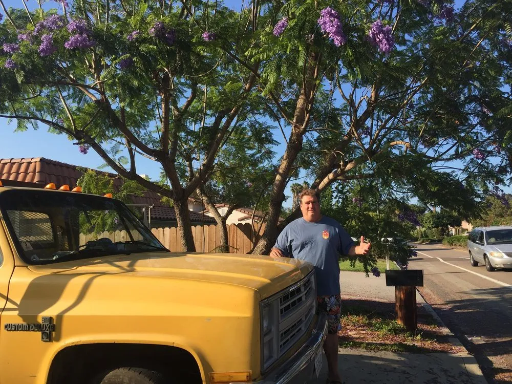 Affordable yard cleanup service in Bonsall, CA - A Zankich Services