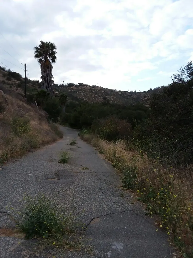 Reliable residential landscaping experts serving Bonsall, CA - A Zankich Services