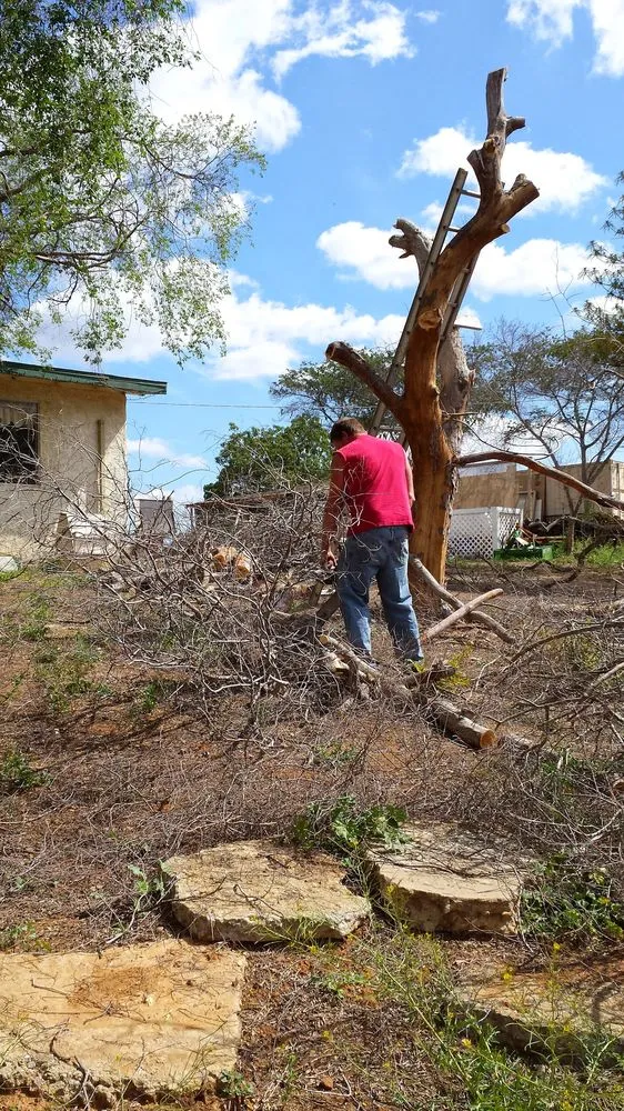Professional lawn mowing service for outdoor upgrades in Bonsall, CA by A Zankich Services