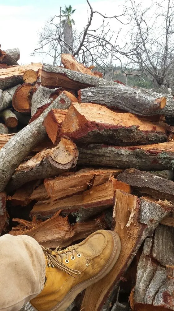 Local garden landscaping near you in Bonsall, CA by A Zankich Services